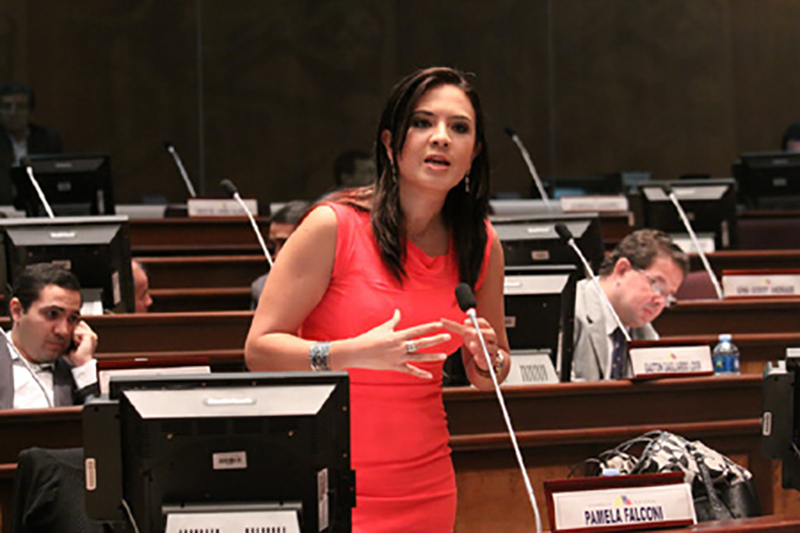 National Assembly Of Ecuador Installs Gonsin Tl-vcb4200 Conference System